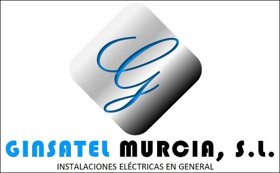 GINSATEL MURCIA, S.L.